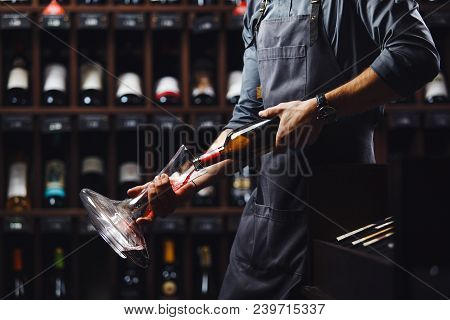 Bartender In Apron Pours Red Wine In Decanter In Cellar With Wooden Shelves Full Of Vintage Bottles 