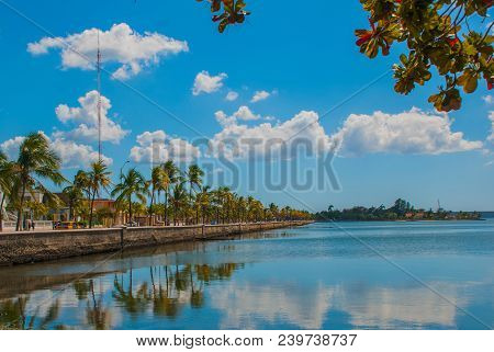 Cienfuegos, Cuba: Promenade In The City, Coconut Palm Trees Are Reflected In The Water. Sunny Day Wi