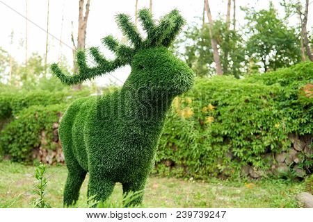 Figure Of Deer Made Of Green Lawn Grass In The Park, Free Space. Green Grass Covered Topiary Deer, L