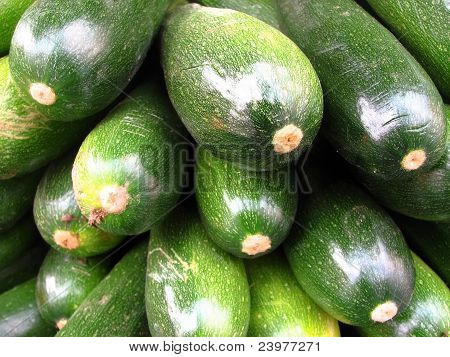 Zucchini