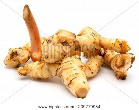 (close Up) Fresh Galangal Isolated On White Background.