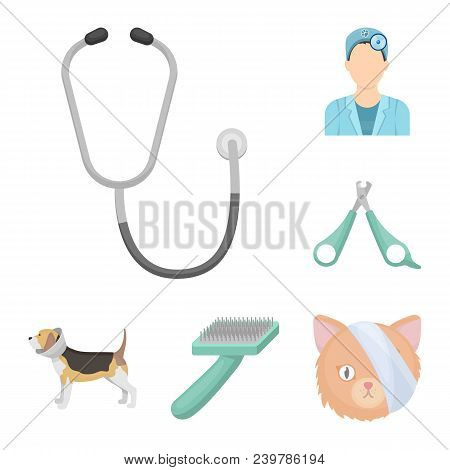 Veterinary Clinic Cartoon Icons In Set Collection For Design. Treatment Of A Pet Vector Symbol Stock