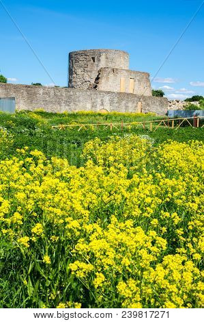 Ruins Of Koporye Fortress In Leningrad Region Near Saint-petersburg, Russia