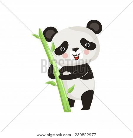 Smiling Panda Standing With Green Bamboo Stick. Cartoon Character Or Black And White Bear With Pink 