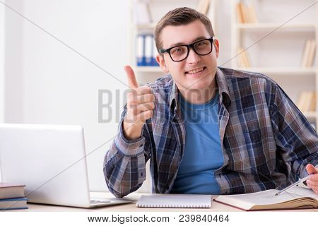 Young student studying over internet in telelearning concept