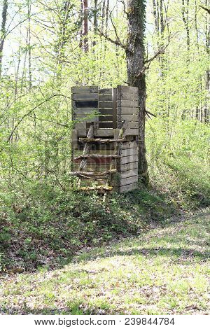 View Of An Observation Post In The Forest