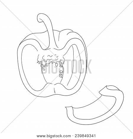 Pepper Hand Drawn Vector Set. Vegetable Engraved Style Object, Half And Slices. Isolated Bell Pepper