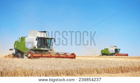 A Few Combines Cutting A Swath Through The Middle Of A Wheat Field During Harvest.