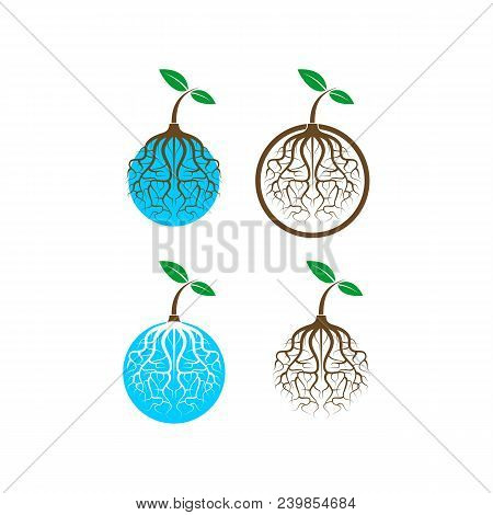 Plant Root Illustration. Nature Growt Tree Icon Logo. Vector Template Ready For Use