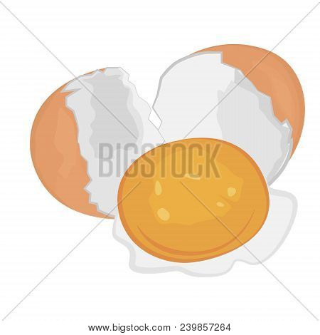 Egg Brocken Vector Illustration On A White Background