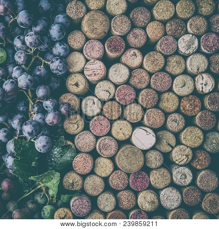 Background For Text. Wine Concept. Wine Corcs And Wine Grapes. Top View. Copy Space.
