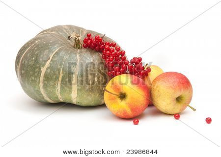 zucca verde, mele gustose e arrowwood rosso