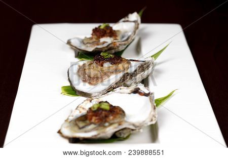 Oysters On The Half Shell Appetizer, Shellfish, Mollus