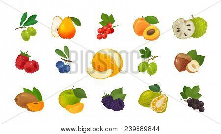 Fruits And Berries, Set Of Colored Icons. Food Concept. Vector Illustration Isolated On White Backgr