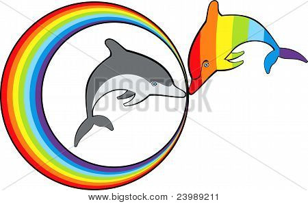 Delfini e arcobaleno.