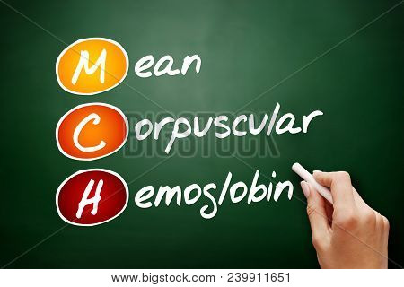 Mch - Mean Corpuscular Hemoglobin Acronym, Concept On Blackboard
