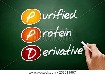 Ppd - Purified Protein Derivative Acronym, Concept On Blackboard