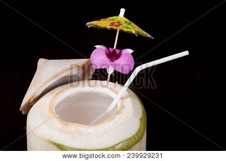Coconut Juice Fresh White Drin Summe Tropica