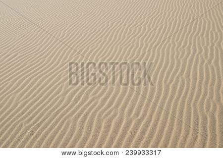Detail Of Sand Dunes In Myall Lakes In Australia.
