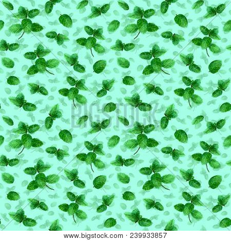 Mint Herb Spice Leaves Seamless Pattern On Teal Green Background. Watercolor Hand Drawn Botanical Il