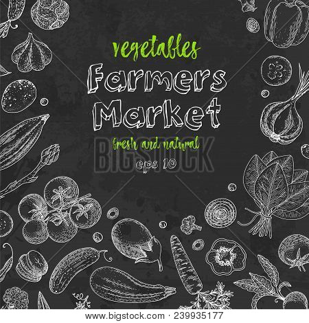 Fresh Vegetables. Hand Drawn Illustration Frame With Vegetables. Farm Market Product. Great Healthy 