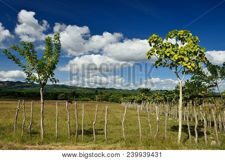 View On The Valle De Los Ingenios Valley On The Sugar Plantation