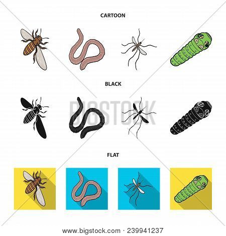 Arthropods Insect Mosquito, Bee.earth Worm, Caterpillar, Vermicular Set Collection Icons In Cartoon,