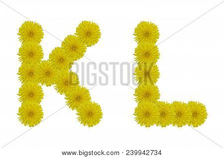 Floral Letters K, L Isolated On White Background. Latin Alphabet Made Up Of Alife Real Yellow Flower