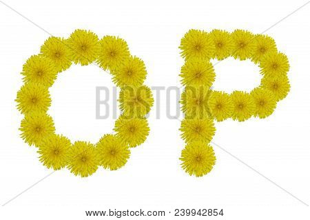Floral Letters O, P Isolated On White Background. Latin Alphabet Made Up Of Alife Real Yellow Flower