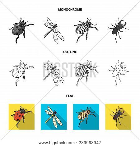 Arthropods Insect Mosquito, Bee.earth Worm, Caterpillar, Vermicular Set Collection Icons In Flat, Ou