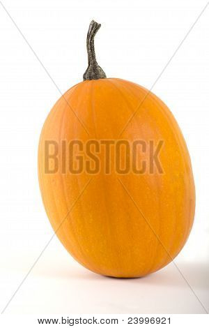 Pumpa på en vit bakgrund