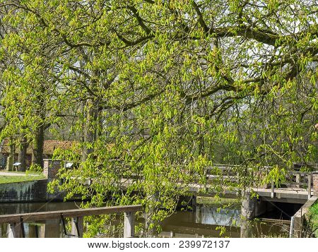 spring time at the river berkel in germany