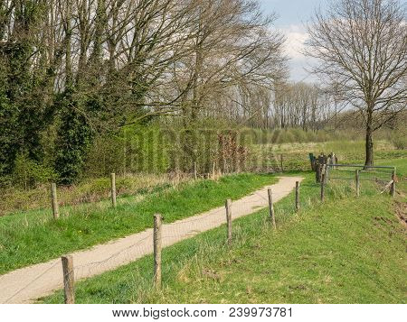 the netherlands near the Village of eibergen