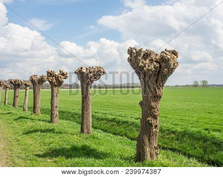 the netherlands near the Village of eibergen