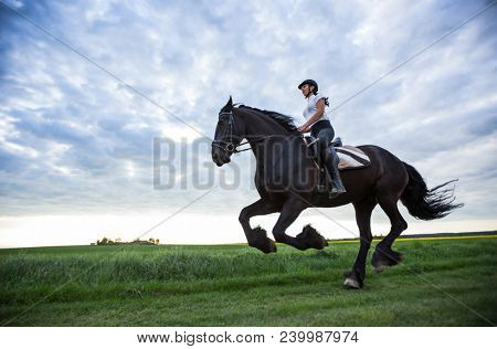 Beautiful woman riding a black friesian horse on spring meadow.