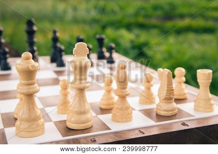 Part Of The Chess Board With Chess Pieces On Green Natural Background. Selective Focus On White Piec