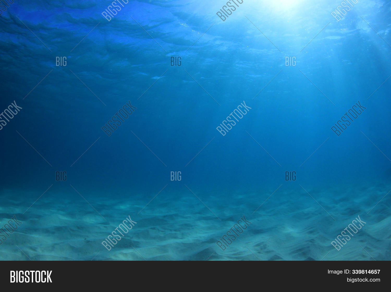 Underwater Blue Water Image & Photo (Free Trial) Bigstock