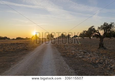 Landscape Of Cyprus Near Avakas Gorge. Wild Nature