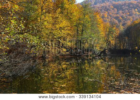 Buyuk Lake In Yedigoller National Park, Bolu, Turkey