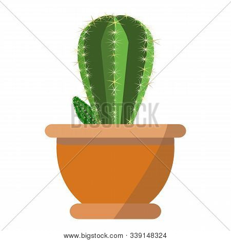 Beatiful Green Cactus Plant Vector In Fachion Flower Pot Isolated On White Background