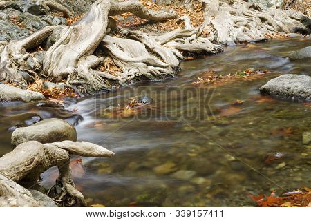 Mountain River Close-up Shooting With A Slow Shutter Speed.