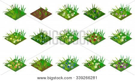 Isometric Grass And Flowers Set. Isolated Tiles To Design Farm Or Garden Landscape. For Cartoon Or G