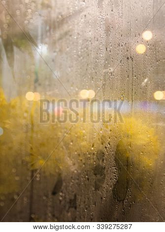Flowers And Light Garlands Behind The Wet Glass. Moist Window. Water Drops On The Glass. Blurred Lig