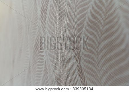 Hand Drawn Pattern With Decorative Floral Ornament. Stylized Colorful Branches. Summer Spring Backgr