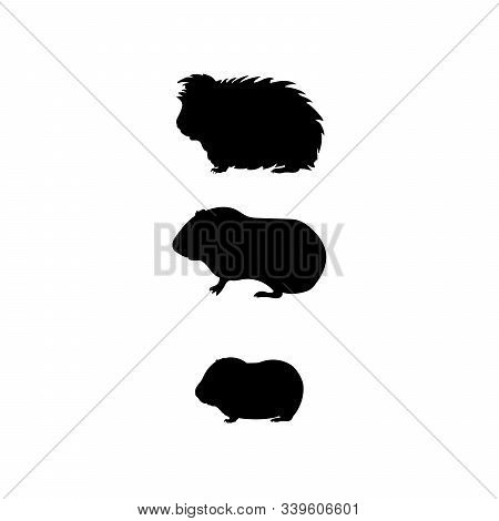 Imagenes Ilustraciones Y Vectores De Cuy Gratis Bigstock Gatos como dibujar dibujos kawaii paso a paso dibujo de gato dibujos easy lindo. vectores de cuy