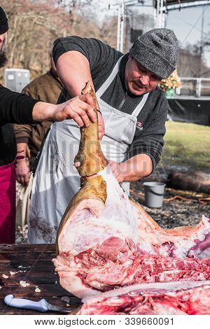 Butchers Slaughtering A Pig