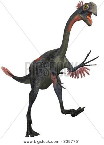 Gigantoraptor Erlianensis