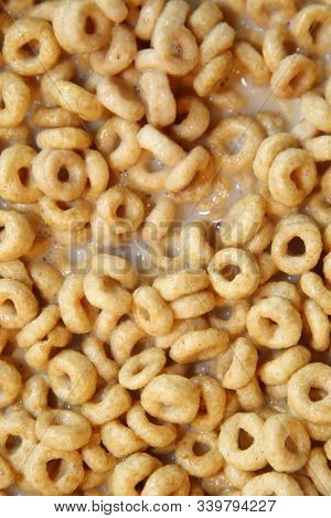 Toasted Oats. Cereal in a bowl of milk. Breakfast food. Breakfast cereal of toasted oats in donut shapes and milk. 
Breakfast if the important meal of morning to get your day going right. 
