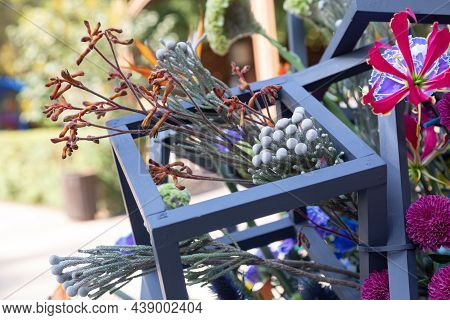 Brunia Albiflora Branch In A Floral Arrangement With Blue Wooden Frames. The Use Of Exotic Flowers I