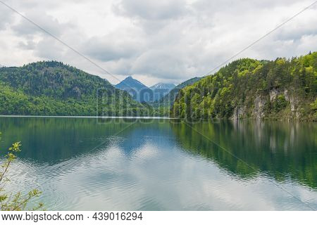Alpine Forest Near Neuschwanstein Castle And Hohenschwangau Castle. Bavarian Alps In Springtime, Mou
